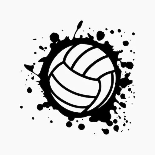 Open Gym